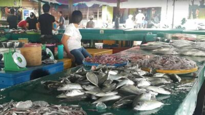 Warga Minta KKP Segera Realisasikan Pembangunan Pasar Ikan Ranai di Natuna