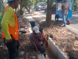 Proyek Drainase di Antapani Disorot, Pemangkasan Akar Pohon Dikhawatirkan Picu Kerawanan