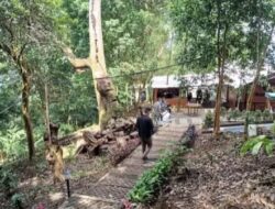 Ekowisata Jadi Jalan Baru Pariwisata Indonesia: Menjaga Alam, Melestarikan Budaya, dan Meningkatkan Kesejahteraan