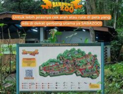 Nasib Bandung Zoo Pasca Surat Peringatan (SP) 2