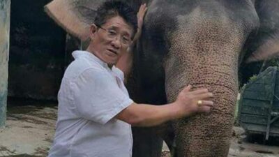 Indonesia Darurat Kematian Gajah Sumatera: “Kau Peduli, Aku Lestari”