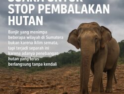 Banjir yang Menimpa beberapa Wilayah di Sumatera Bukan Soal Cuaca atau Perubahan Iklim Semata