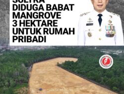 Gubernur Sultra Diduga Babat Mangrove 3 Hektare untuk Rumah Pribadi