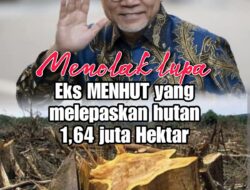 Banjir Bandang ataupun Tanah Longsor Bukan Bencana Alam, Alam tidak Membawa Bencana, Alam Memberi Kehidupan