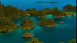 4 Desember, Hari Konservasi Kehidupan Liar Sedunia atau World Wildlife Conservation Day 