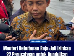 Awalnya Beri Ijin 22 Perusahaan Gunduli Satu Hektar Hutan, Setelah Ramai Sekarang Ijinnya Di Cabut Kembali