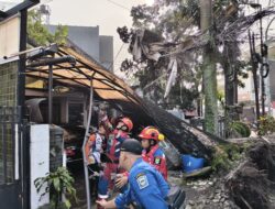 DPKP Kota Bandung Terpojok: Dugaan Pembiaran Pohon Raksasa Berujung Petaka di Cihapit, Warga Siap Layangkan Somasi PMH