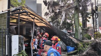 DPKP Kota Bandung Terpojok: Dugaan Pembiaran Pohon Raksasa Berujung Petaka di Cihapit, Warga Siap Layangkan Somasi PMH