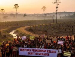 Membedah Ambisi Food Estate di Papua: Antara Ekspansi Sawit dan Ancaman Ekologis