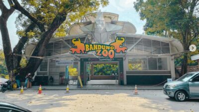 Mengurai Benang Kusut Bandung Zoo: Antara Aspirasi Politik Senayan dan Realitas Konservasi
