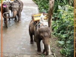 Keputusan Sunyi yang Mengubah Segalanya