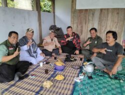 Sinergi Jaga Alam, MPW Pemuda Pancasila Jabar Gelar Aksi Tanam 3000 Pohon di Gunung Ceremai