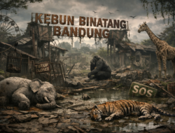 Runtuhnya Kebun Binatang Bandung
