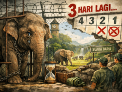 Menghitung Hari Menuju Wajah Baru: Akhir Riwayat Ego di Balik Pagar Bandung Zoo