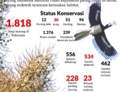 Krisis Biodiversitas: Ironi Indonesia sebagai Surga Burung dan Ancaman Kepunahan Global