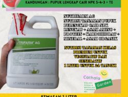 Nutrifarm AG: Solusi Suplemen Cair Organik untuk Optimasi Produksi Pertanian