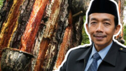 Soroti Dugaan Penyadapan Getah Pinus Ilegal di Gunung Ciremai, ASH: Ini Kejahatan Ekologis