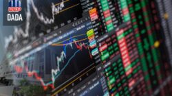 Laba Bersih Melesat 216,70%, Diamond Citra Propertindo (DADA) Tebar Dividen Rp2 Miliar