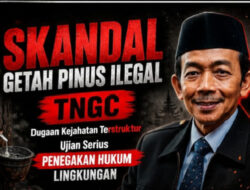 Skandal Getah Pinus Ilegal TNGC || Aceng Syamsul Hadie (ASH): Dugaan Kejahatan Terstruktur dan Ujian Serius Penegakan Hukum Lingkungan