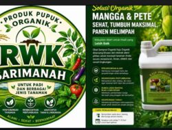 Inovasi Ketahanan Pangan, Yayasan Sari Manah Hadirkan Pupuk Organik Berbasis Bahan Herbal