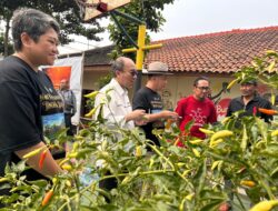 Ironi Krisis Air Pertanian Bandung: Di Balik Seremonial Penghargaan, 699 Hektare Sawah Dibayangi Ancaman Kekeringan