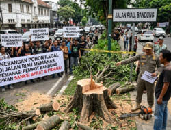 Penebangan Pohon Ilegal di Jalan Riau Memanas: Pemkot Bandung Siapkan Sanksi Berat dan Pidana, Publik Soroti Pengawasan Aparat