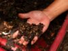 Festival Tamansari Jadi Ajang Edukasi Maggot, Warga Dorong Pengolahan Sampah Organik Berbasis Komunitas