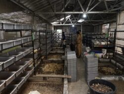 Menguji Ambisi Ekosistem Sampah Sukamiskin: Antara Target 70 Persen dan Realita Lapangan