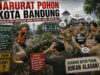 Darurat Pohon Kota Bandung: Regulasi Ada, Pelanggar Aman, Instansi Saling Lempar Bola