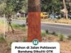 Aksi Vandalisme Pohon di Jalan Pahlawan Terbongkar, Efektivitas Pengawasan Pemkot Bandung Dipertanyakan