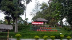 Sejarah Perkebunan Di Subang: PT. Perkebunan Nusantara VIII Ciater