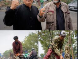 Lahan Makin Terbatas, DPKP Kota Bandung Geser Fokus Pengelolaan Pohon ke Peremajaan
