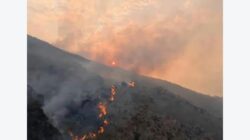 Satu Heli dan 500 Personel Diturunkan, Karhutla Gunung Ciremai Diklaim Mereda 80 Persen